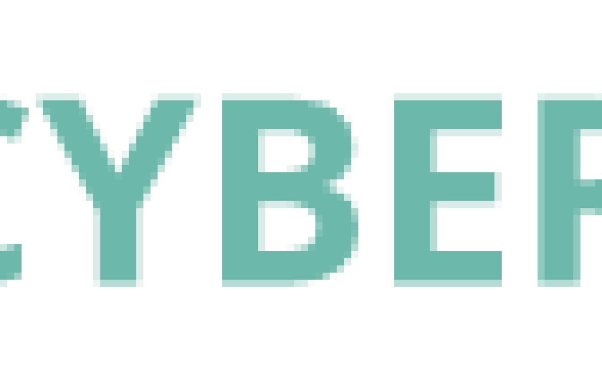 B2B cyber secure_logo
